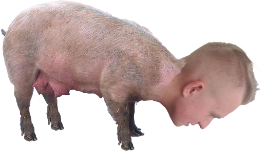 swinia